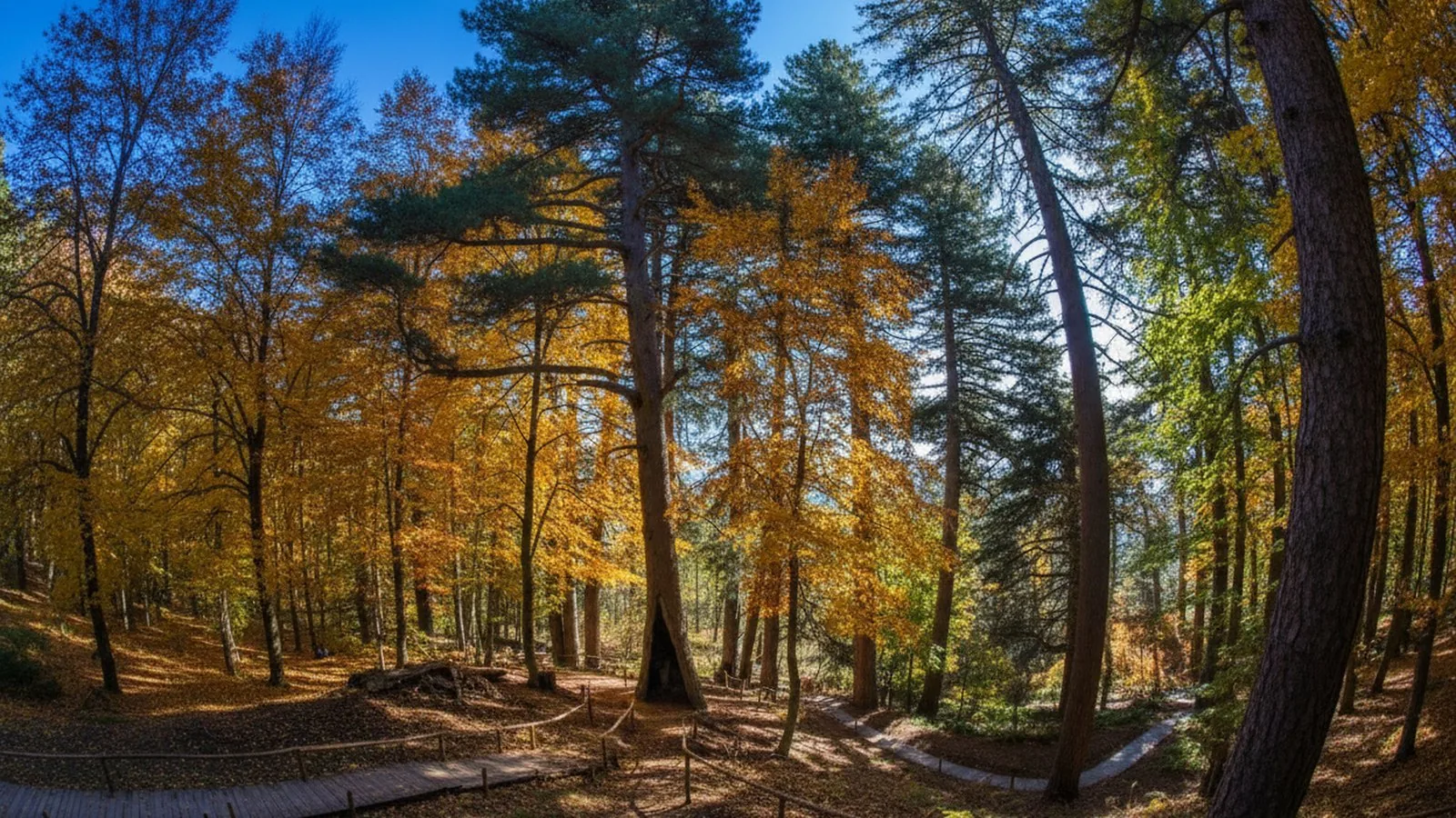 Calabria Bella, Catanzaro (Calabria)